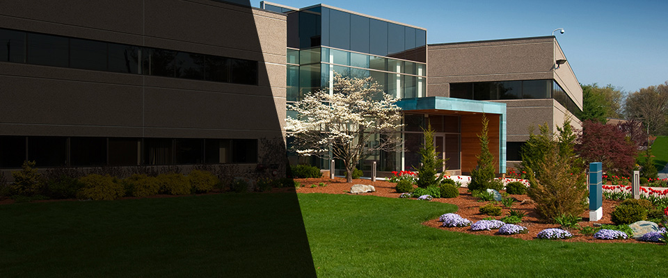 New Iberia Landscapers