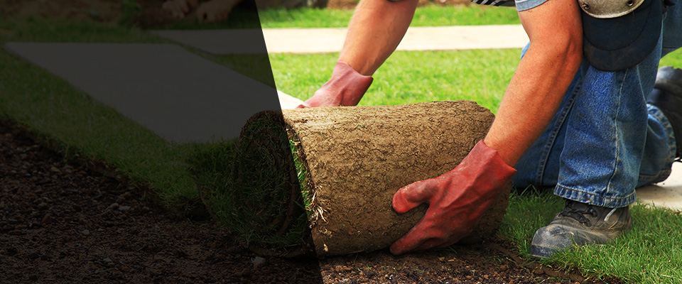 New Iberia Landscapers